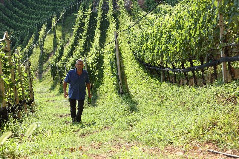 wine-trekking cantina lasterosse-1