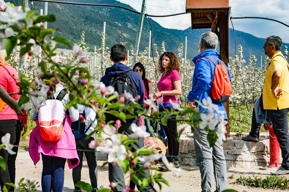 wine trekking