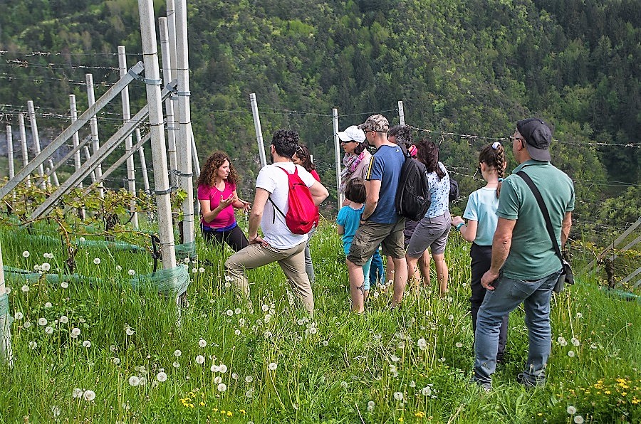 wine trekking benessere