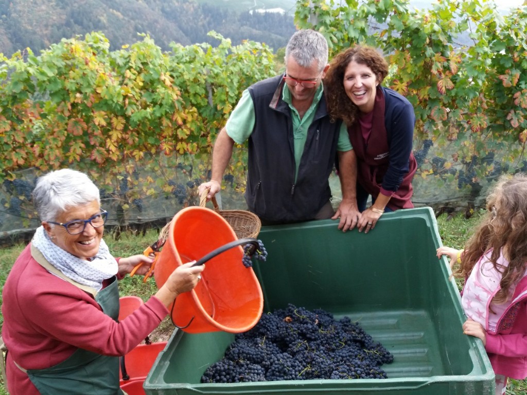 festa della vendemmia LasteRosse