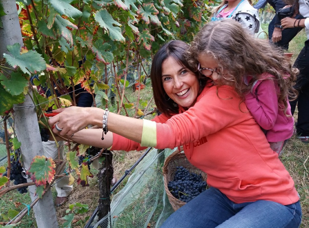 festa della vendemmia lasterosse