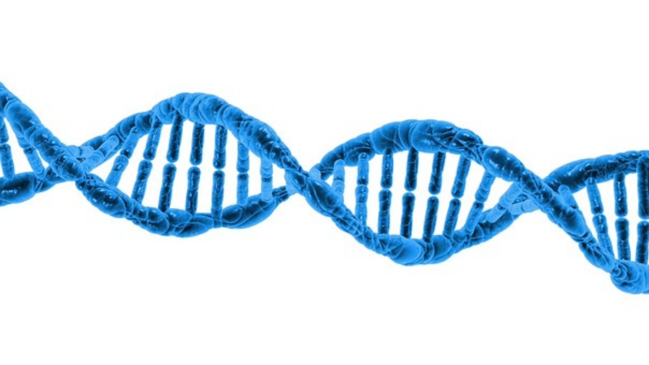 DNA Groppello