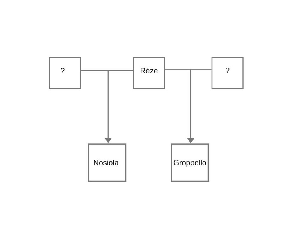 DNA Groppello