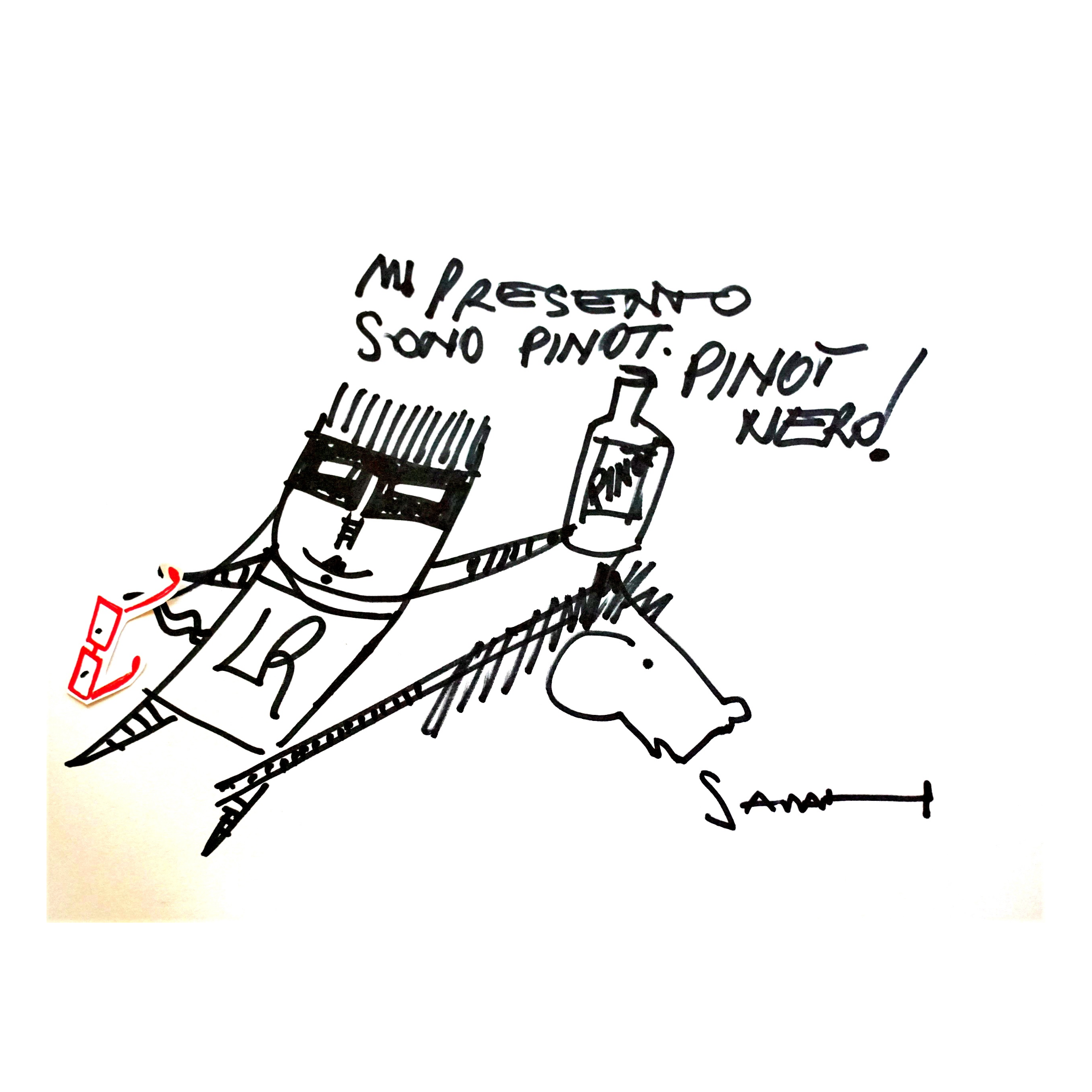 Pinot nero